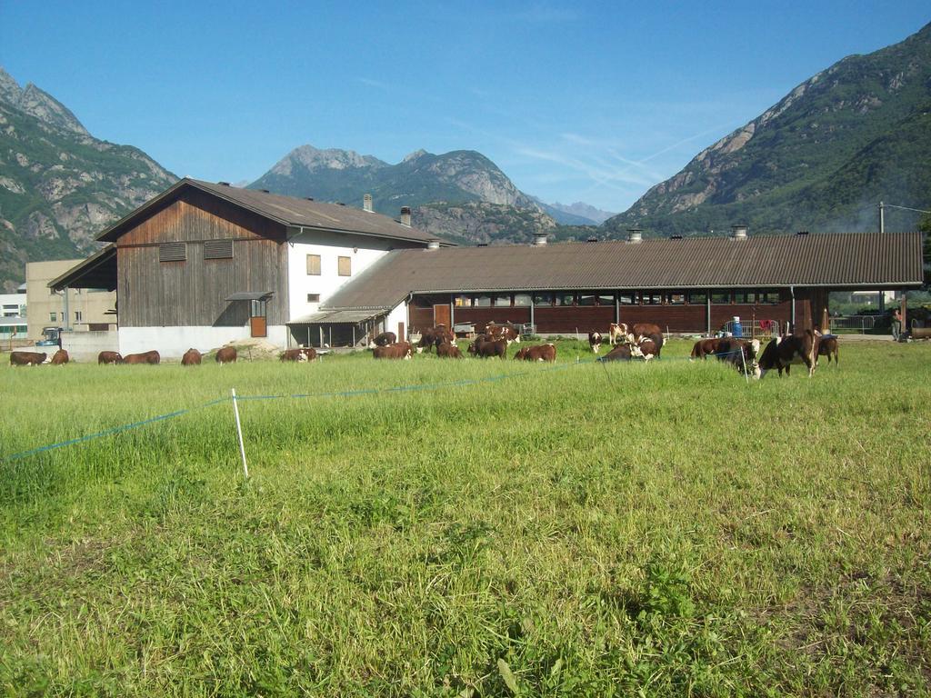 Agriturismo La Grange Pont-Saint-Martin Bagian luar foto