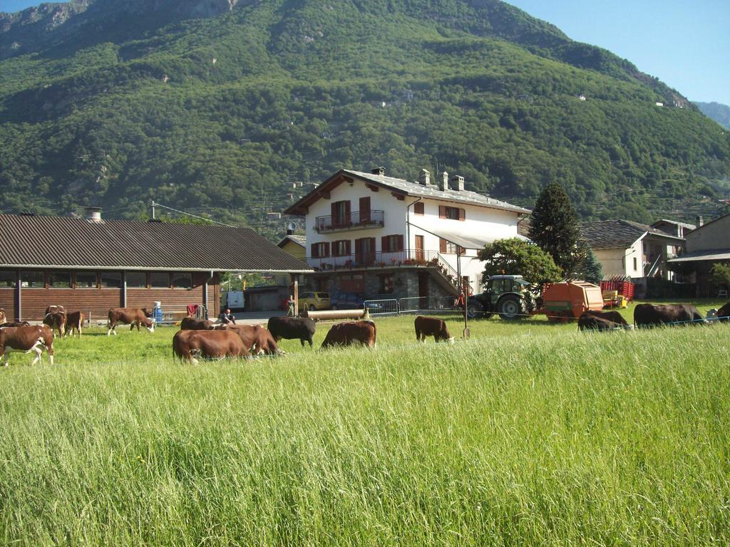 Agriturismo La Grange Pont-Saint-Martin Bagian luar foto