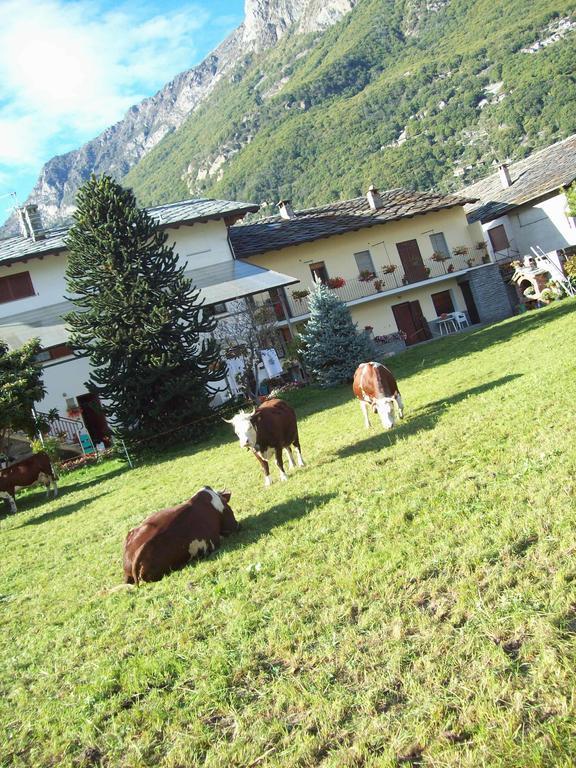 Agriturismo La Grange Pont-Saint-Martin Bagian luar foto